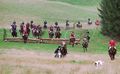 Jagdfeld