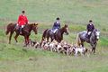 Equipage